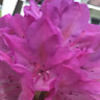 jovita744772